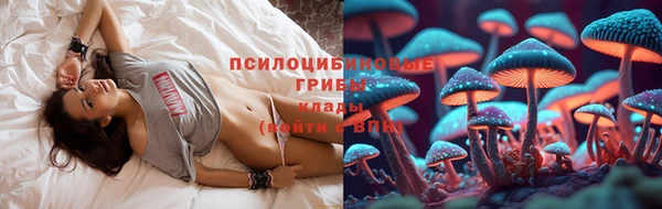 бошки Верхний Тагил