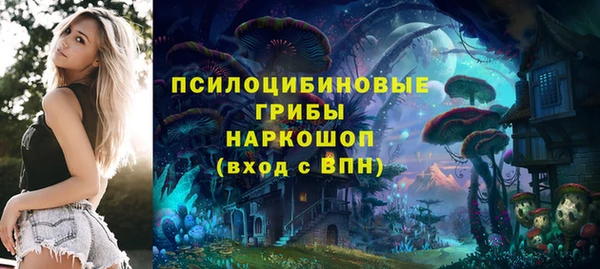 а пвп мука Верея