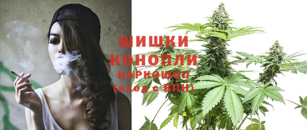 бошки Верхний Тагил