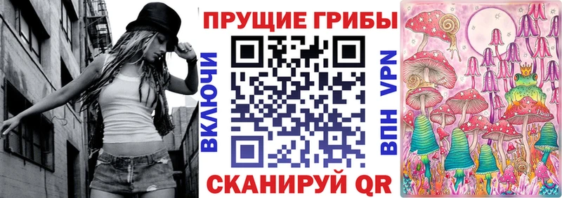 где купить   Касли  Галлюциногенные грибы GOLDEN TEACHER 